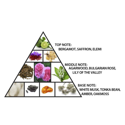 Amber Oud Dubai Night - Extrait de Parfum - 100ml